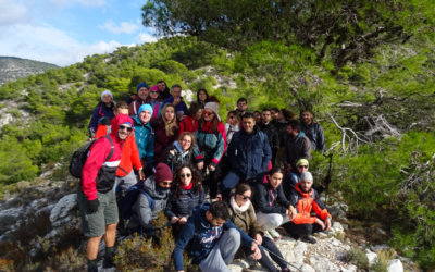 Ημερήσιες Εκδρομές